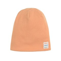 Cool Club шапка для мальчиков, CAB2400437 цена и информация | Шапки, перчатки, шарфики для новорожденных | kaup24.ee