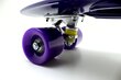 Rula Pennyboard käepidemega, 60 cm hind ja info | Rulad | kaup24.ee