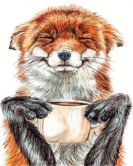 Maalid numbrite järgi "The fox is drinking coffee" 40 x 50 A471 G hind ja info | Maalid numbri järgi | kaup24.ee