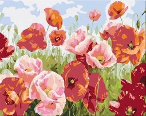 Maalid numbrite järgi "Poppy field 1" 40 x 50 KTMK-006957 G hind ja info | Maalid numbri järgi | kaup24.ee