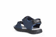 Poiste sandaalid Geox, sinine hind ja info | Laste sandaalid | kaup24.ee