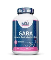 Haya Labs GABA 100 kaps. hind ja info | Aminohapped | kaup24.ee