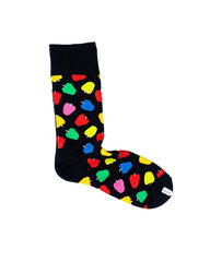 Naiste sokid Happy Socks hind ja info | Naiste sokid | kaup24.ee