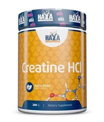 Maisto papildas Haya Labs Sports Creatine HCL 200 g. hind ja info | Kreatiin | kaup24.ee