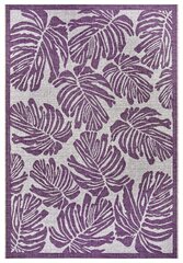 Northrugs vaip Jaffa Purple Violet Cream 200x290 cm hind ja info | Vaibad | kaup24.ee