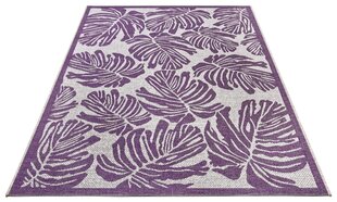 Northrugs vaip Jaffa Purple Violet Cream 200x290 cm hind ja info | Vaibad | kaup24.ee