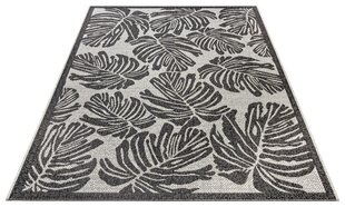 Northrugs vaip Jaffa Black Cream 200x290 cm hind ja info | Vaibad | kaup24.ee