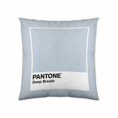 Padjakate Deep Breath Pantone hind ja info | Dekoratiivpadjad ja padjakatted | kaup24.ee