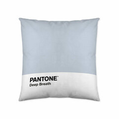 Padjakate Deep Breath Pantone цена и информация | Декоративные подушки и наволочки | kaup24.ee