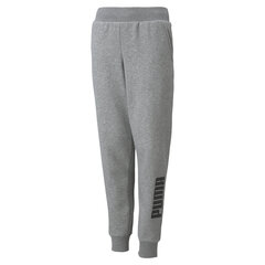 Poiste vabaaja püksid Puma Power Logo Sweatpants, hall цена и информация | Шорты для мальчиков | kaup24.ee