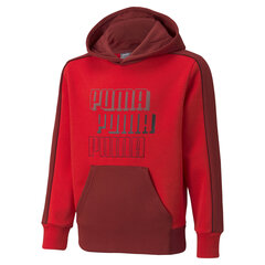 Poiste vabaaja dressipluus Puma Alpha Hoodie FL B High Risk, punane цена и информация | Свитеры, жилетки, пиджаки для мальчиков | kaup24.ee