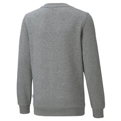 Poiste jalgpalli dressipluus Puma Neymar Jr Creativity Crew Neck Youth Sweater, hall цена и информация | Свитеры, жилетки, пиджаки для мальчиков | kaup24.ee