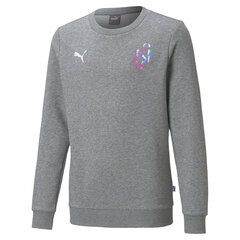 Poiste jalgpalli dressipluus Puma Neymar Jr Creativity Crew Neck Youth Sweater, hall цена и информация | Свитеры, жилетки, пиджаки для мальчиков | kaup24.ee