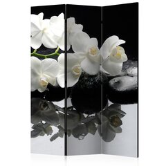 Ruumijaotur - Spa, Stones and Orchid [Room Dividers] hind ja info | Sirmid ja vaheseinad | kaup24.ee