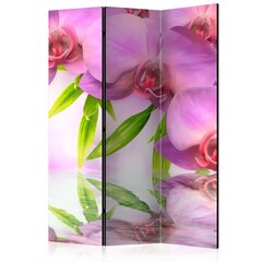 Ruumijaotur - Orchid Spa [Room Dividers] hind ja info | Sirmid ja vaheseinad | kaup24.ee