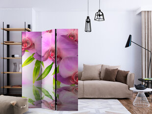 Ruumijaotur - Orchid Spa [Room Dividers] hind ja info | Sirmid ja vaheseinad | kaup24.ee