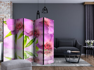 Ruumijaotur - Orchid Spa II [Room Dividers] hind ja info | Sirmid ja vaheseinad | kaup24.ee