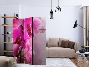 Ruumijaotur - Pink Orchid [Room Dividers] hind ja info | Sirmid ja vaheseinad | kaup24.ee