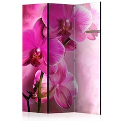 Ruumijaotur - Pink Orchid [Room Dividers] hind ja info | Sirmid ja vaheseinad | kaup24.ee