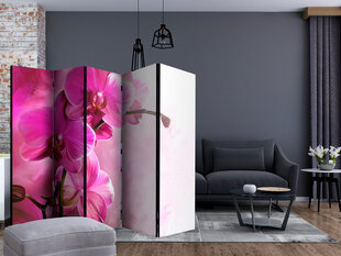 Ruumijaotur - Pink Orchid II [Room Dividers] hind ja info | Sirmid ja vaheseinad | kaup24.ee