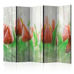 Ruumijaotur - Red tulips on wood II [Room Dividers] hind ja info | Sirmid ja vaheseinad | kaup24.ee