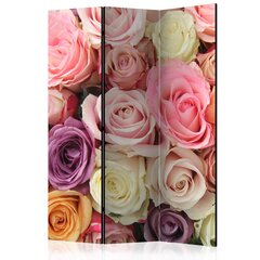 Ruumijaotur - Pastel roses [Room Dividers] hind ja info | Sirmid ja vaheseinad | kaup24.ee