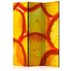 Ruumijaotur - Orange slices [Room Dividers] hind ja info | Sirmid ja vaheseinad | kaup24.ee