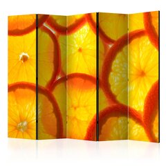 Ruumijaotur - Orange slices II [Room Dividers] hind ja info | Sirmid ja vaheseinad | kaup24.ee