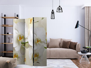 Ruumijaotur - Orchid Branch [Room Dividers] hind ja info | Sirmid ja vaheseinad | kaup24.ee