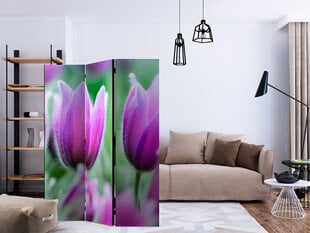 Ruumijaotur - Purple spring tulips [Room Dividers] hind ja info | Sirmid ja vaheseinad | kaup24.ee