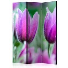 Ruumijaotur - Purple spring tulips [Room Dividers] hind ja info | Sirmid ja vaheseinad | kaup24.ee