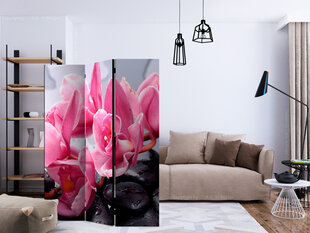 Ruumijaotur - Orchid flowers with zen stones [Room Dividers] hind ja info | Sirmid ja vaheseinad | kaup24.ee