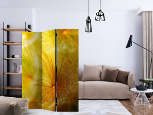 Ruumijaotur - Soft dandelion flower [Room Dividers] hind ja info | Sirmid ja vaheseinad | kaup24.ee