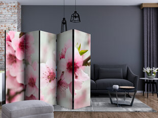 Ruumijaotur - Spring, blooming tree - pink flowers II [Room Dividers] hind ja info | Sirmid ja vaheseinad | kaup24.ee