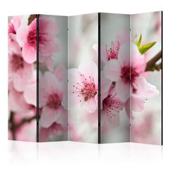 Ruumijaotur - Spring, blooming tree - pink flowers II [Room Dividers] hind ja info | Sirmid ja vaheseinad | kaup24.ee