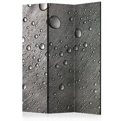 Ruumijaotur - Steel surface with water drops [Room Dividers] hind ja info | Sirmid ja vaheseinad | kaup24.ee