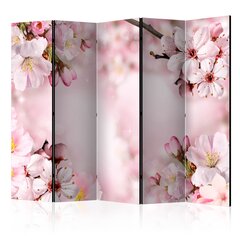 Ruumijaotur - Spring Cherry Blossom II [Room Dividers] hind ja info | Sirmid ja vaheseinad | kaup24.ee