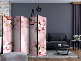 Ruumijaotur - Spring Cherry Blossom II [Room Dividers] hind ja info | Sirmid ja vaheseinad | kaup24.ee