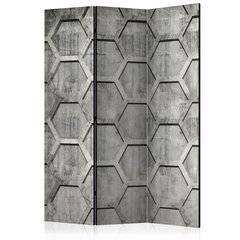 Ruumijaotur - Platinum cubes [Room Dividers] hind ja info | Sirmid ja vaheseinad | kaup24.ee