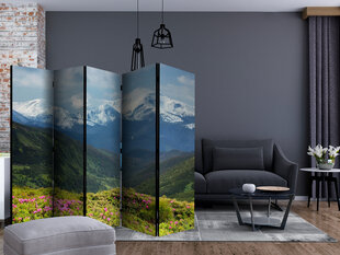 Ruumijaotur - Spring mountain landscape II [Room Dividers] hind ja info | Sirmid ja vaheseinad | kaup24.ee