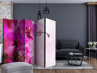 Ruumijaotur - Pink orchid II [Room Dividers] hind ja info | Sirmid ja vaheseinad | kaup24.ee