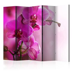 Ширма Pink orchid цена и информация | Мобильные стенки | kaup24.ee