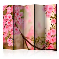 Ruumijaotur - Pink azalea II [Room Dividers] hind ja info | Sirmid ja vaheseinad | kaup24.ee