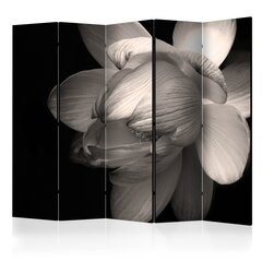 Ruumijaotur - Lotus flower II [Room Dividers] hind ja info | Sirmid ja vaheseinad | kaup24.ee