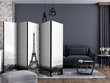 Ruumijaotur - Paris: black and white photography II [Room Dividers] цена и информация | Sirmid ja vaheseinad | kaup24.ee