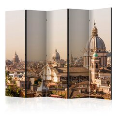 Ruumijaotur - Rome - bird's eye view II [Room Dividers] цена и информация | Мобильные стенки | kaup24.ee