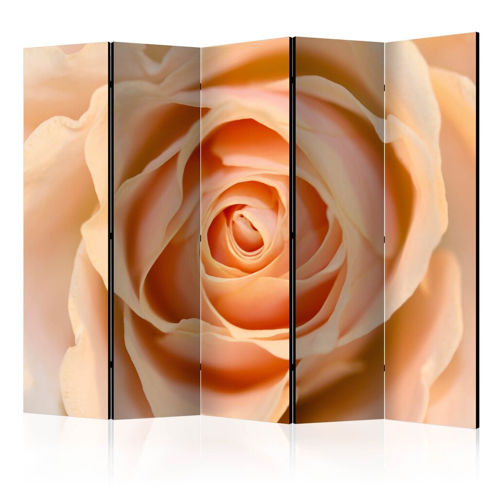 Ruumijaotur - Peach-colored rose II [Room Dividers] цена и информация | Sirmid ja vaheseinad | kaup24.ee