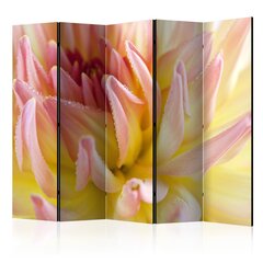 Ruumijaotur - Pastel colored dahlia flower with dew drops II [Room Dividers] цена и информация | Мобильные стенки | kaup24.ee