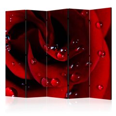 Перегородка Red rose with water drops цена и информация | Мобильные стенки | kaup24.ee
