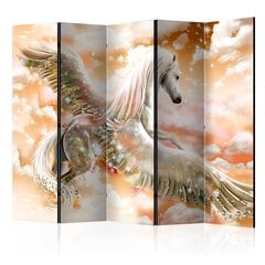 Ruumijaotur - Pegasus (Orange) II [Room Dividers] hind ja info | Sirmid ja vaheseinad | kaup24.ee